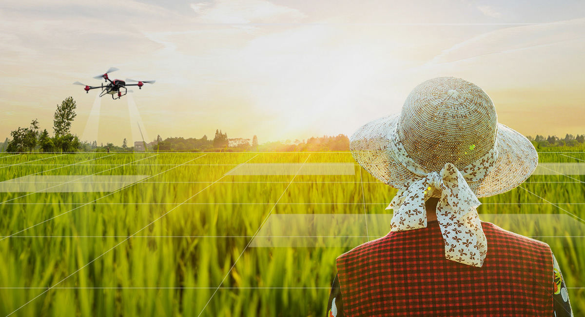 浙江托普云农科技股份有限公司