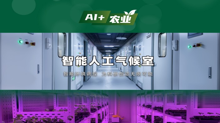 植物生长 “开挂” 神器！托普智能人工气候室：AI 模型 + 表型分析全解析，从勘察到验收，托普全流程闭环服务！